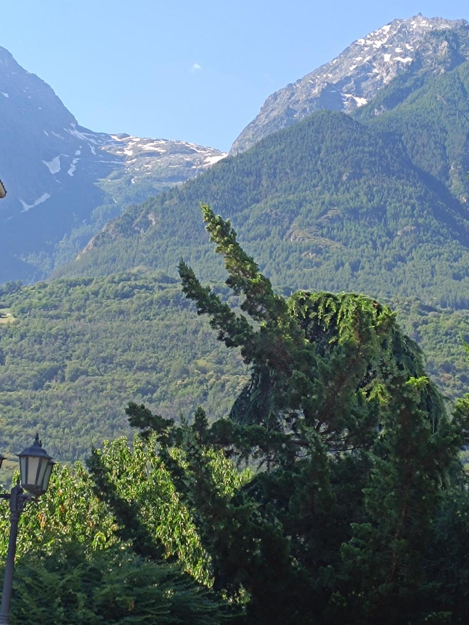 La Grolla Apartment Aosta Luaran gambar